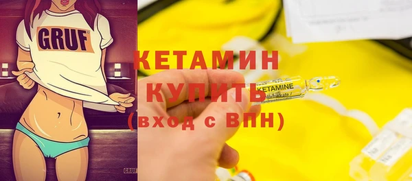 прущие грибы Елабуга