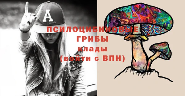 СК Алзамай