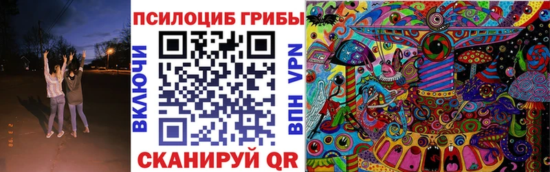 Галлюциногенные грибы Psilocybine cubensis ОМГ ОМГ ONION Чебаркуль где можно купить наркотик