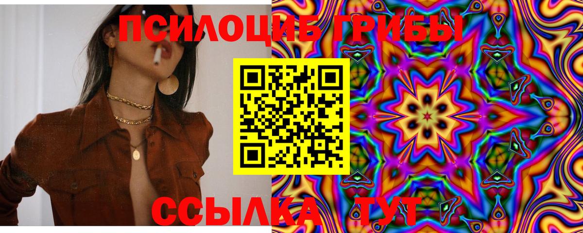 Псилоцибиновые грибы MAGIC MUSHROOMS Чебаркуль