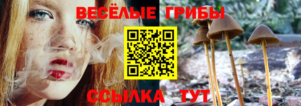 Псилоцибиновые грибы Cubensis  Вход с VPN  Галлюциногенные грибы Psilocybe  Чебаркуль 